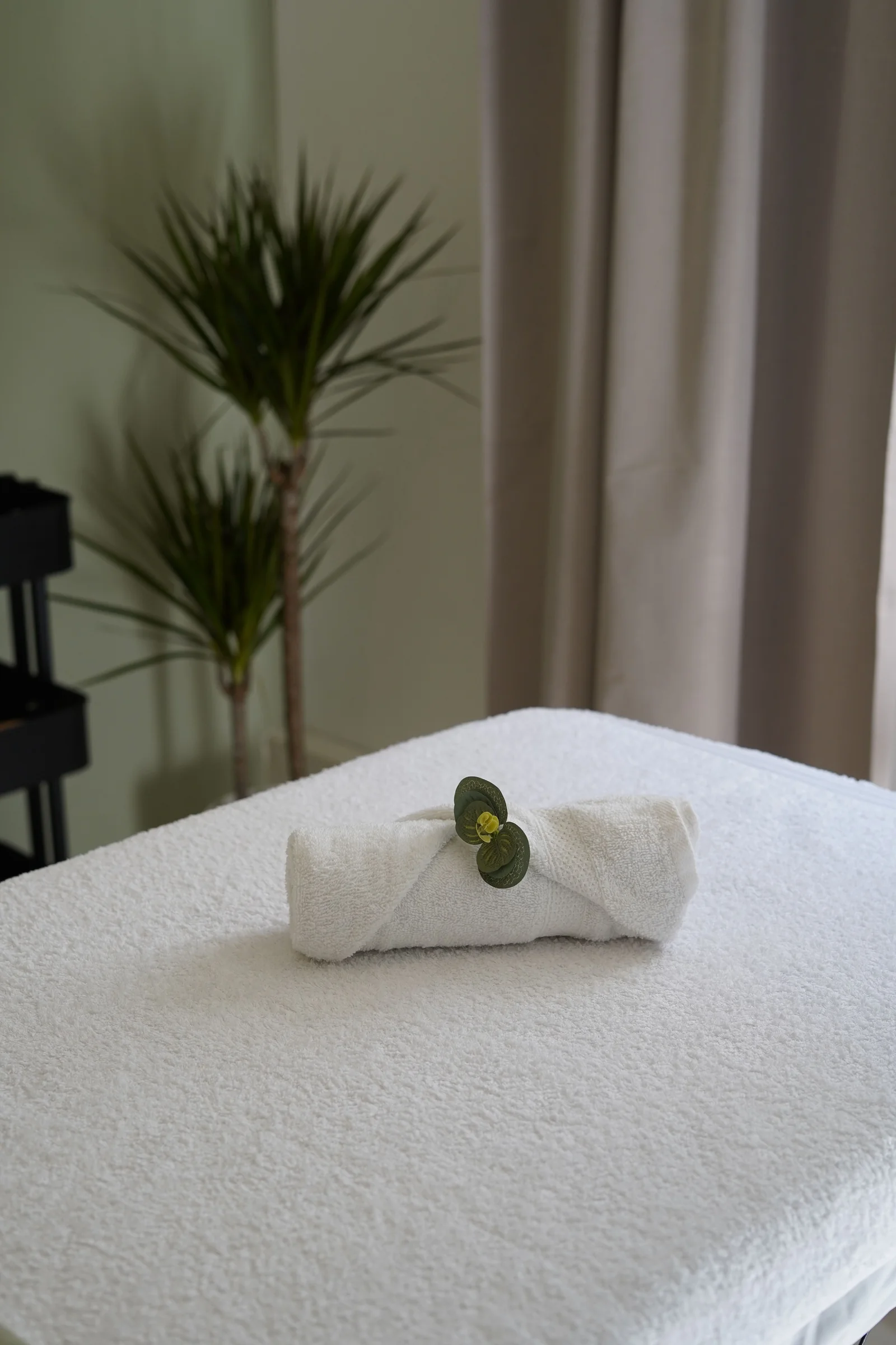 A folded white towel and a green plant on a treatment table